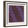 Indian Ornament-null-Framed Premium Giclee Print