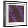 Indian Ornament-null-Framed Premium Giclee Print