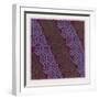 Indian Ornament-null-Framed Premium Giclee Print