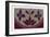 Indian Ornament-null-Framed Giclee Print