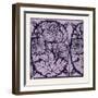 Indian Ornament-null-Framed Giclee Print