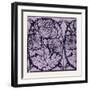 Indian Ornament-null-Framed Giclee Print