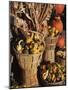 Indian Ornamental Corn and Gourds,The Hamptons, Long Island, New York State, USA-Robert Harding-Mounted Photographic Print