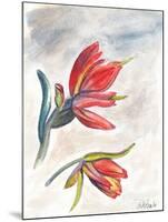 Indian Paint Brush-Jennifer Redstreake Geary-Mounted Art Print