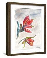 Indian Paint Brush-Jennifer Redstreake Geary-Framed Art Print