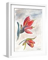 Indian Paint Brush-Jennifer Redstreake Geary-Framed Art Print