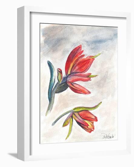 Indian Paint Brush-Jennifer Redstreake Geary-Framed Art Print