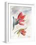 Indian Paint Brush-Jennifer Redstreake Geary-Framed Art Print