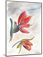 Indian Paint Brush-Jennifer Redstreake Geary-Mounted Art Print