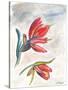 Indian Paint Brush-Jennifer Redstreake Geary-Stretched Canvas