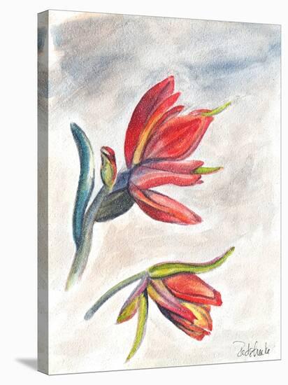 Indian Paint Brush-Jennifer Redstreake Geary-Stretched Canvas