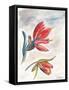 Indian Paint Brush-Jennifer Redstreake Geary-Framed Stretched Canvas