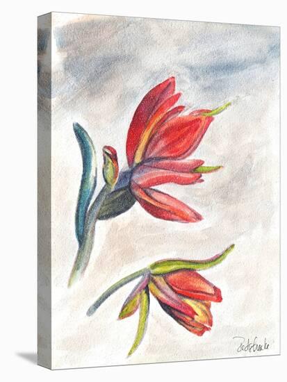 Indian Paint Brush-Jennifer Redstreake Geary-Stretched Canvas