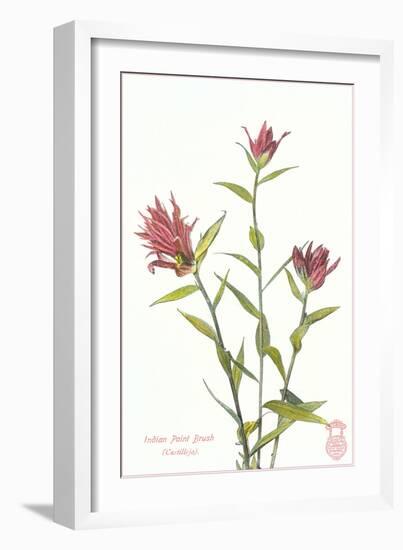 Indian Paint Brush-null-Framed Art Print