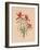 Indian Paintbrush (1883)-Mary Vaux Walcott-Framed Photographic Print