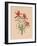 Indian Paintbrush (1883)-Mary Vaux Walcott-Framed Photographic Print