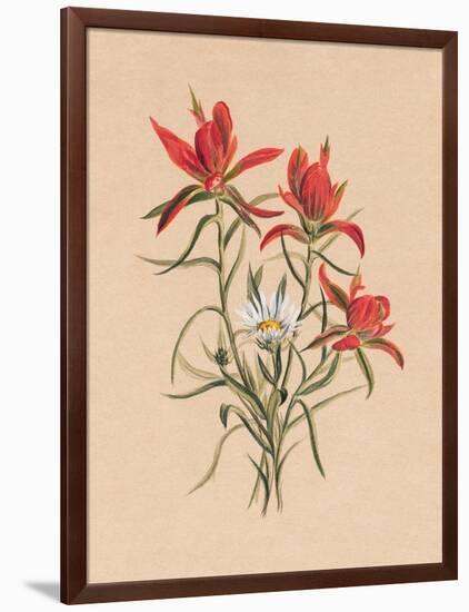 Indian Paintbrush (1883)-Mary Vaux Walcott-Framed Photographic Print