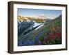 Indian Paintbrush and Lupine, Olympic National Park, Washington, USA-Gary Luhm-Framed Premium Photographic Print