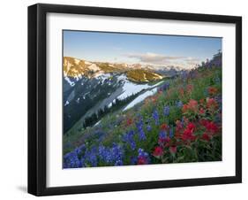 Indian Paintbrush and Lupine, Olympic National Park, Washington, USA-Gary Luhm-Framed Premium Photographic Print