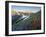 Indian Paintbrush and Lupine, Olympic National Park, Washington, USA-Gary Luhm-Framed Premium Photographic Print