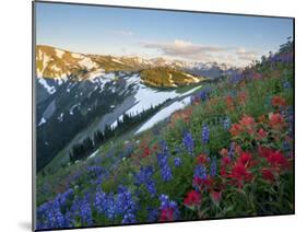 Indian Paintbrush and Lupine, Olympic National Park, Washington, USA-Gary Luhm-Mounted Premium Photographic Print