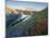 Indian Paintbrush and Lupine, Olympic National Park, Washington, USA-Gary Luhm-Mounted Premium Photographic Print