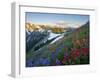 Indian Paintbrush and Lupine, Olympic National Park, Washington, USA-Gary Luhm-Framed Photographic Print