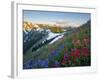 Indian Paintbrush and Lupine, Olympic National Park, Washington, USA-Gary Luhm-Framed Photographic Print