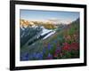 Indian Paintbrush and Lupine, Olympic National Park, Washington, USA-Gary Luhm-Framed Photographic Print