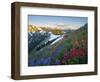 Indian Paintbrush and Lupine, Olympic National Park, Washington, USA-Gary Luhm-Framed Photographic Print