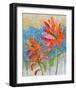 Indian Paintbrush II-null-Framed Art Print