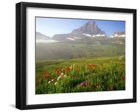 Indian Paintbrush in the Fog at Logan Pass in Glacier National Park, Montana, USA-Chuck Haney-Framed Photographic Print