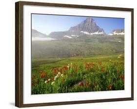 Indian Paintbrush in the Fog at Logan Pass in Glacier National Park, Montana, USA-Chuck Haney-Framed Photographic Print