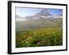 Indian Paintbrush in the Fog at Logan Pass in Glacier National Park, Montana, USA-Chuck Haney-Framed Photographic Print