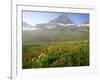 Indian Paintbrush in the Fog at Logan Pass in Glacier National Park, Montana, USA-Chuck Haney-Framed Photographic Print