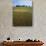 Indian Paintbrush meadow, Taberville Prairie Natural Area, Missouri, USA-Charles Gurche-Photographic Print displayed on a wall