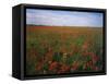 Indian Paintbrush meadow, Taberville Prairie Natural Area, Missouri, USA-Charles Gurche-Framed Stretched Canvas