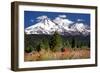 Indian Paintbrush-Douglas Taylor-Framed Photographic Print