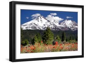 Indian Paintbrush-Douglas Taylor-Framed Photographic Print