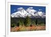 Indian Paintbrush-Douglas Taylor-Framed Photographic Print