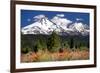 Indian Paintbrush-Douglas Taylor-Framed Photographic Print