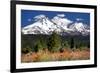 Indian Paintbrush-Douglas Taylor-Framed Photographic Print