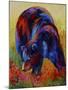 Indian Paintbrush-Marion Rose-Mounted Giclee Print
