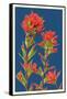 Indian Paintbrush-Lantern Press-Framed Stretched Canvas