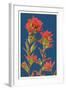 Indian Paintbrush-Lantern Press-Framed Art Print