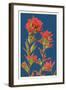 Indian Paintbrush-Lantern Press-Framed Art Print
