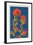 Indian Paintbrush-Lantern Press-Framed Art Print