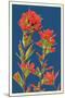 Indian Paintbrush-Lantern Press-Mounted Art Print