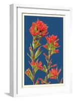 Indian Paintbrush-Lantern Press-Framed Art Print