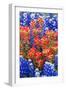 Indian Paintbush and Bluebonnet Flowers-Terry Eggers-Framed Photographic Print